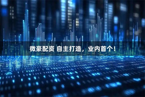 微豪配资 自主打造，业内首个！