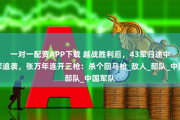 一对一配资APP下载 越战胜利后，43军归途中遇越军追袭，张万年连开三枪：杀个回马枪_敌人_部队_中国军队