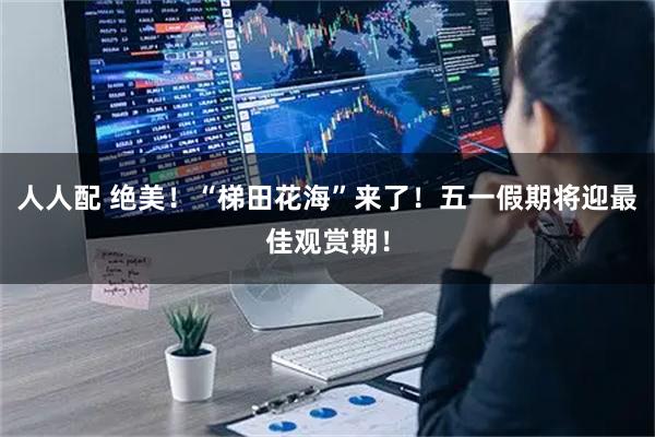 人人配 绝美！“梯田花海”来了！五一假期将迎最佳观赏期！